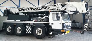 grue mobile Grove GMK 3055